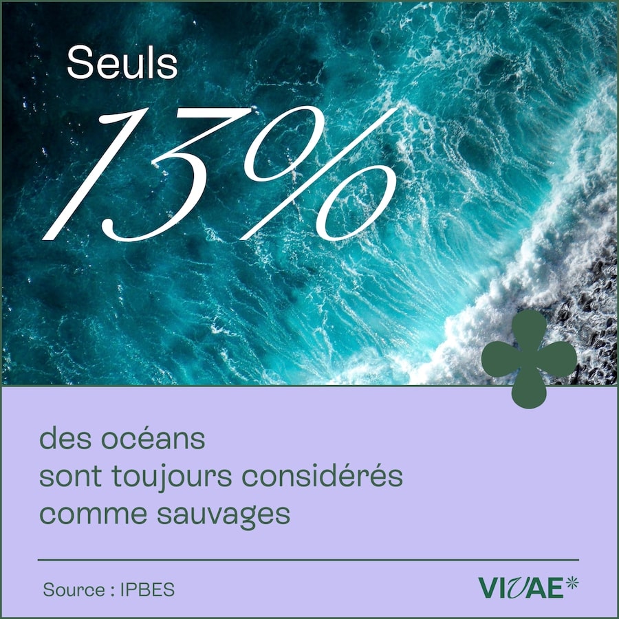 CHIFFRE CLÉ_1622-1