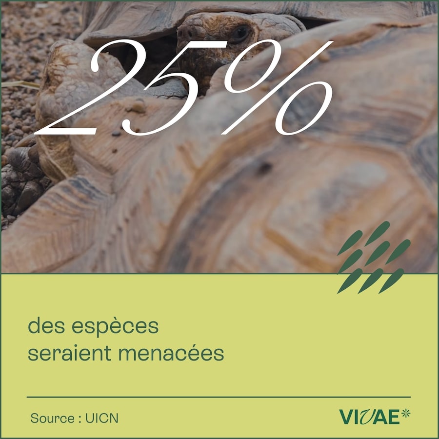 CHIFFRE CLÉ_1622-2