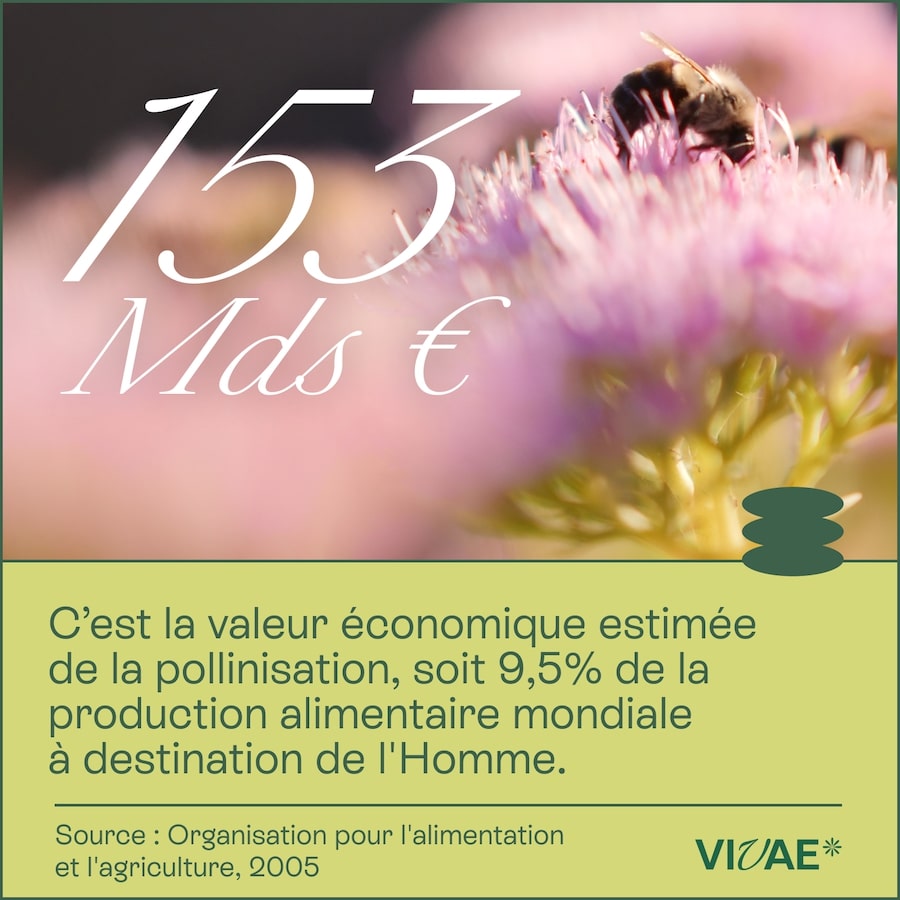 CHIFFRE CLÉ_1622-4