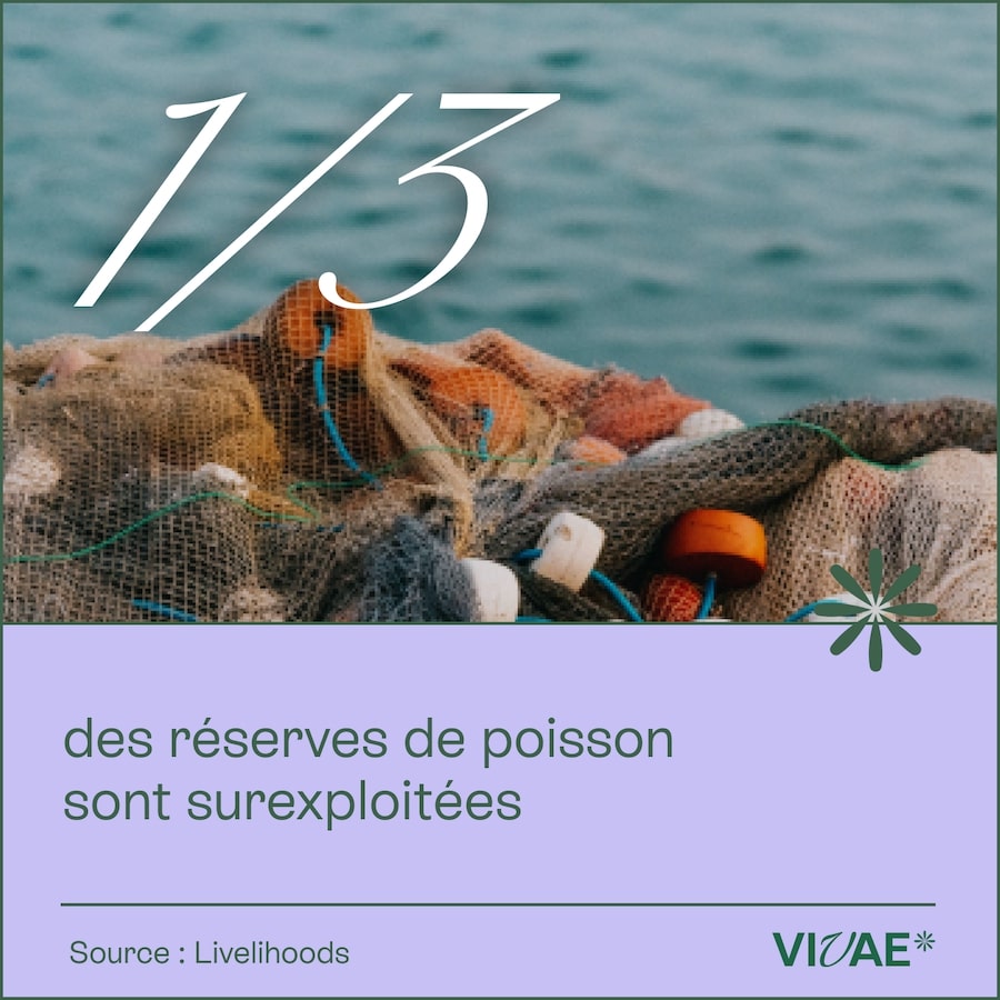 CHIFFRE CLÉ_1622-6